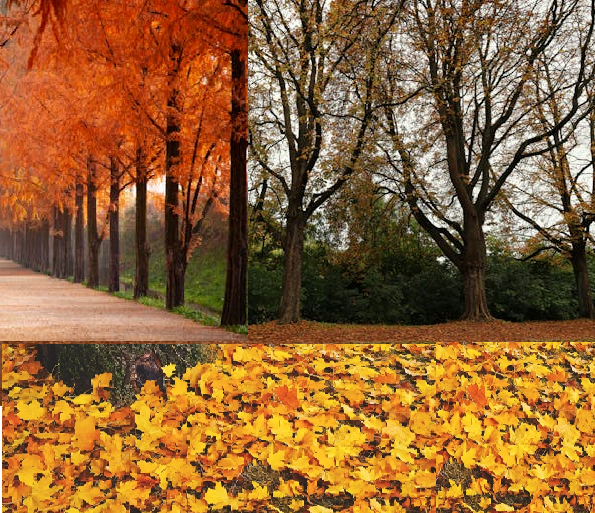 Haiku -Better Future