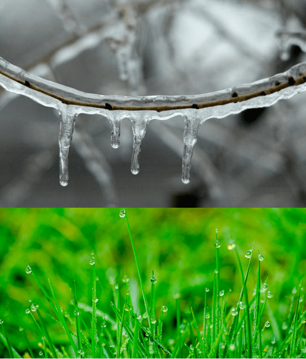 Haiku – Goodbye and&nbsp;Hello