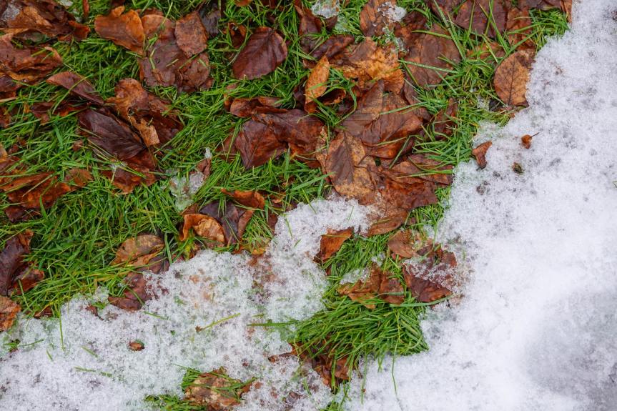 Haiku – Not soon&nbsp;enough